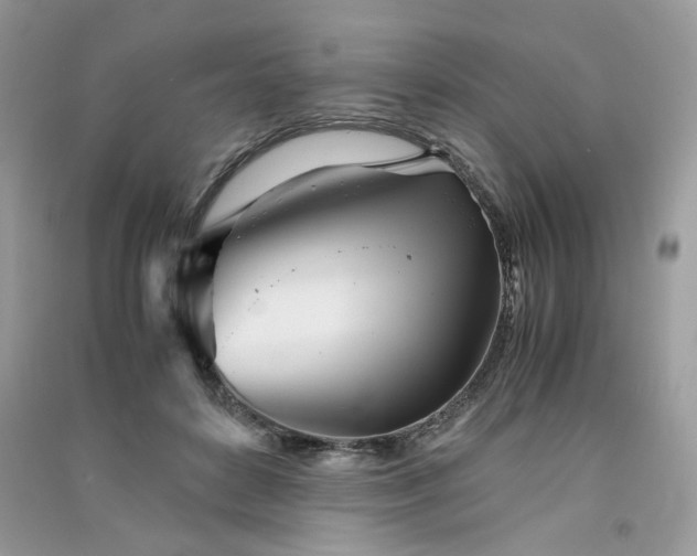 X0000091300504200708101311