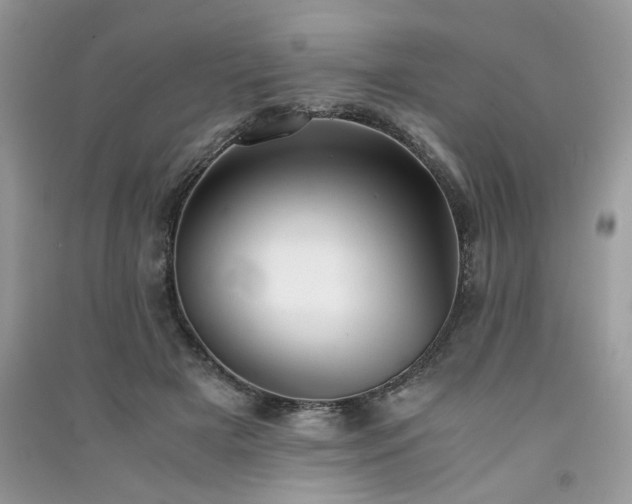 X0000091300505200708101311