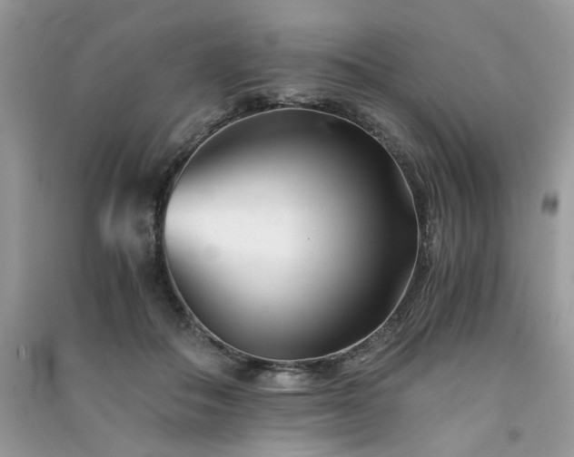 X0000091300506200708101311