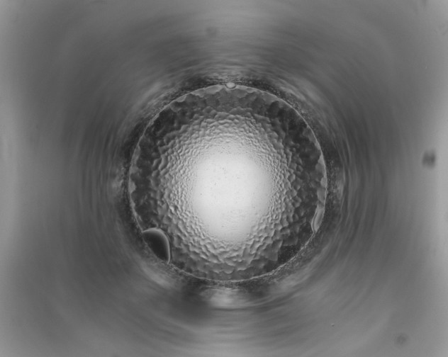 X0000091300507200708101311