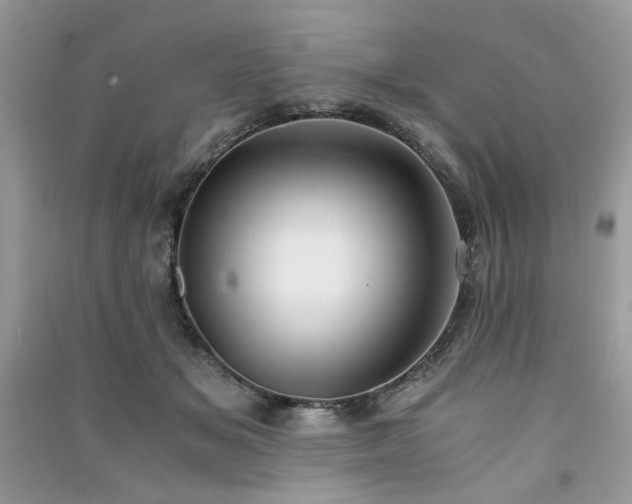 X0000091300509200708101311