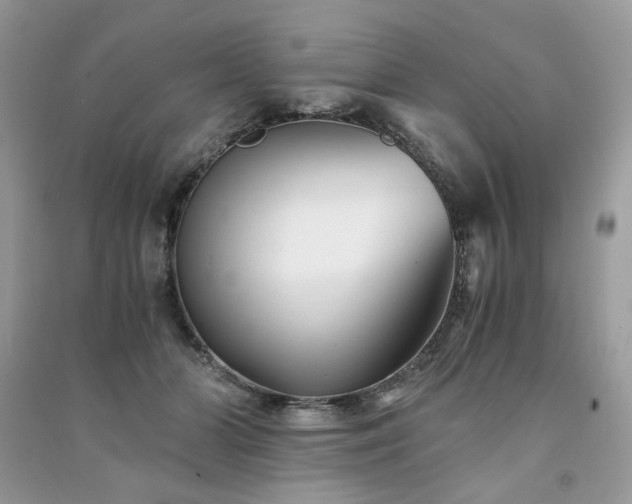 X0000091300510200708101311