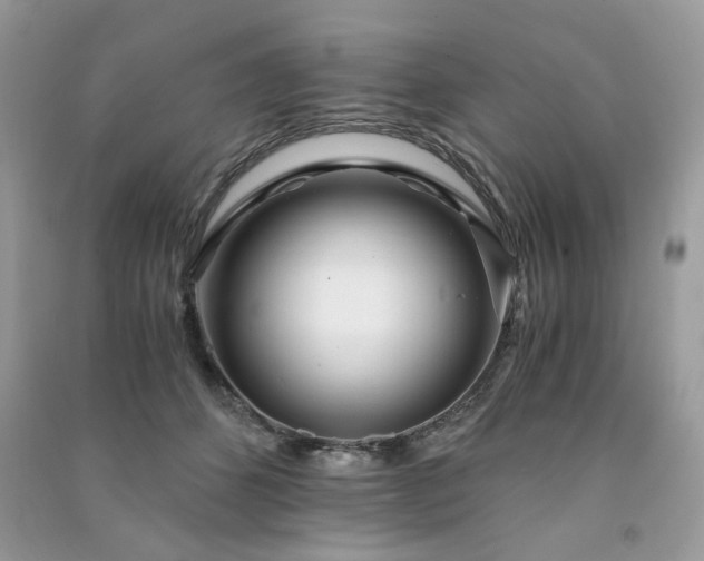 X0000091300512200708101311