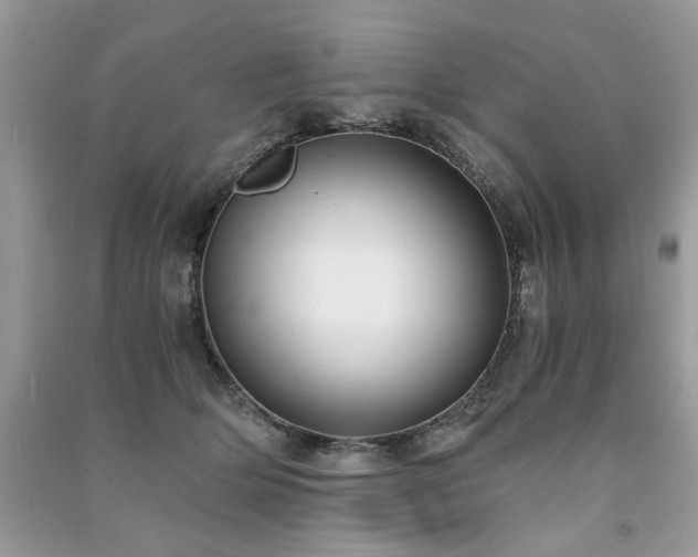 X0000091300514200708101311