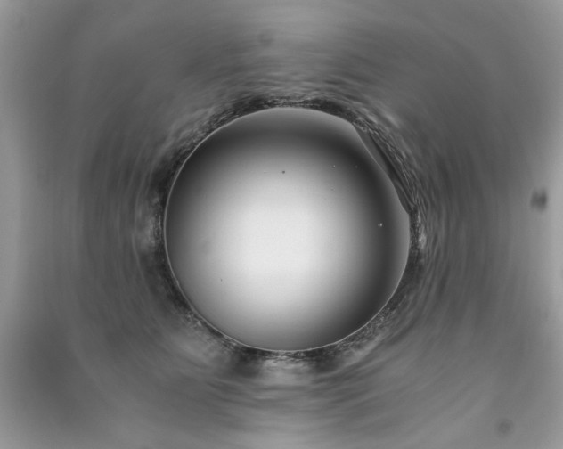 X0000091300515200708101311