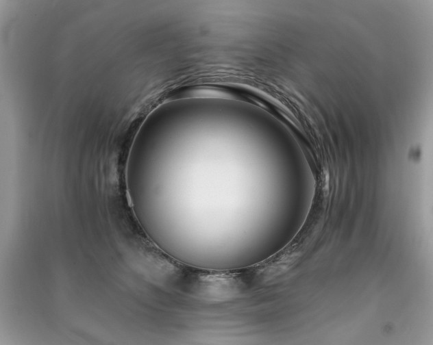 X0000091300516200708101311