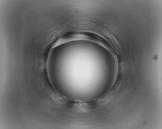 X0000091300517200708101311