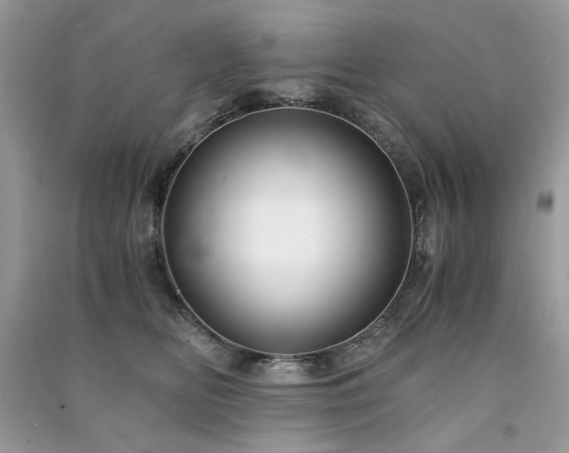 X0000091300518200708101311