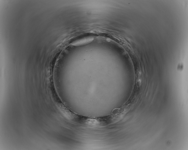 X0000091300519200708101311