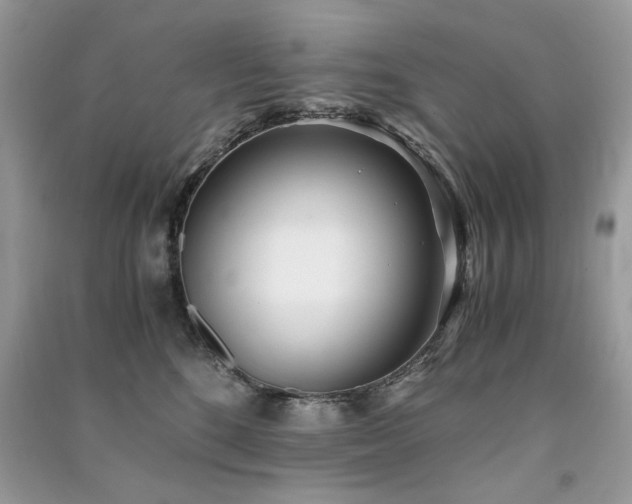 X0000091300520200708101311