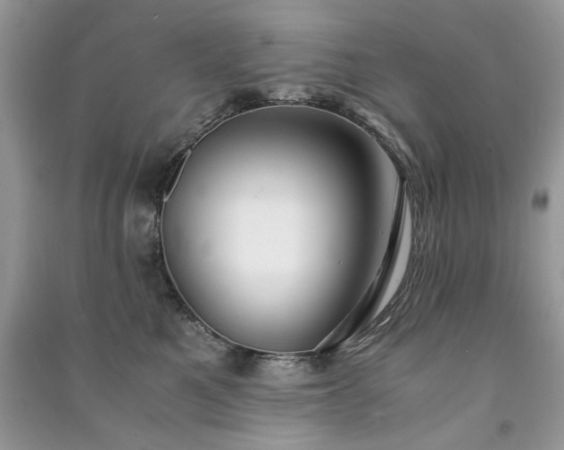 X0000091300521200708101311