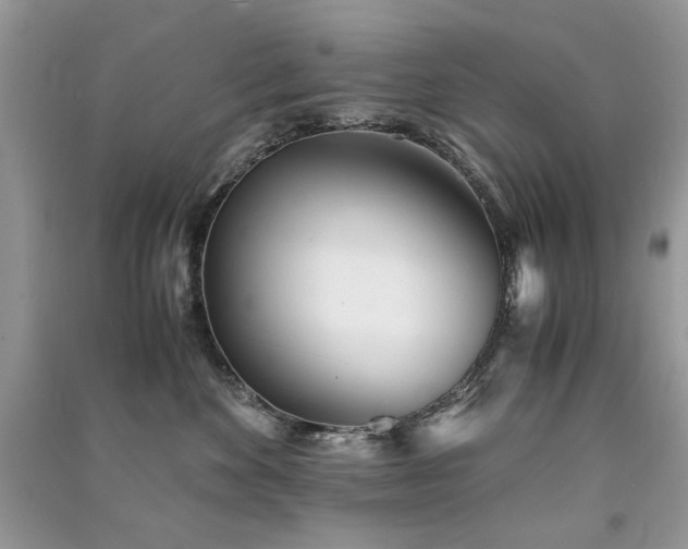 X0000091300524200708101311