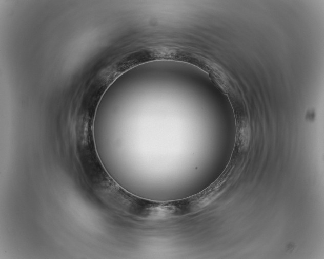 X0000091300525200708101311