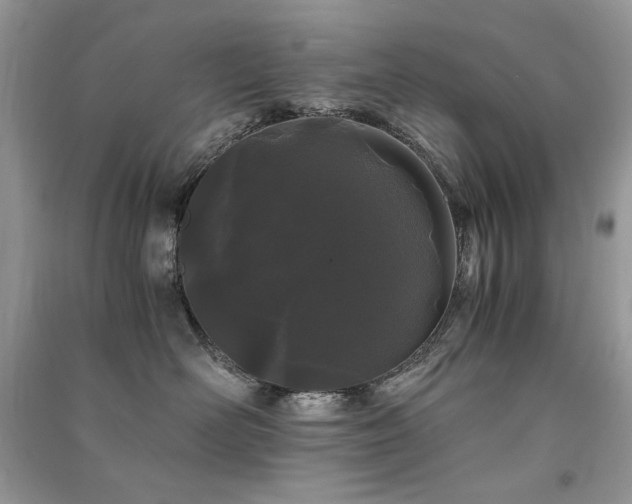 X0000091300526200708101311