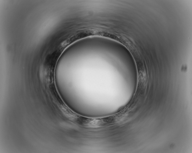 X0000091300527200708101311