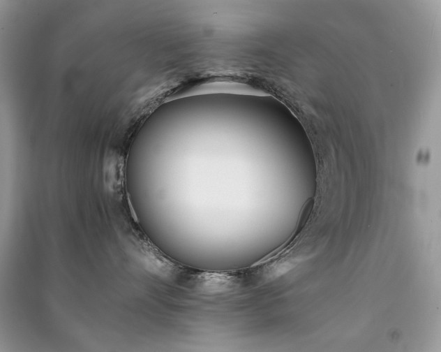 X0000091300528200708101311