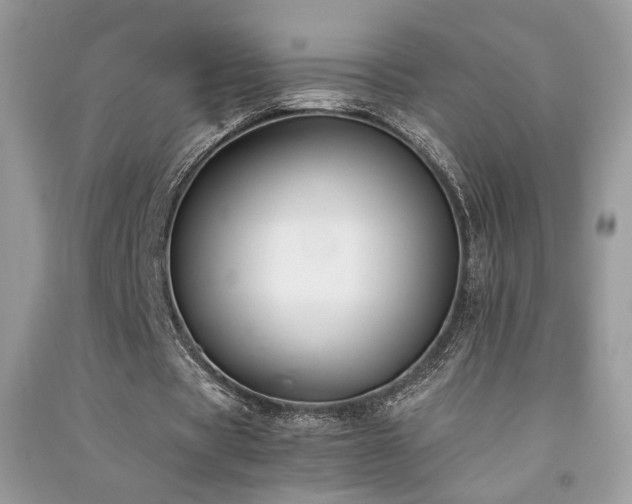 X0000091300529200708101310
