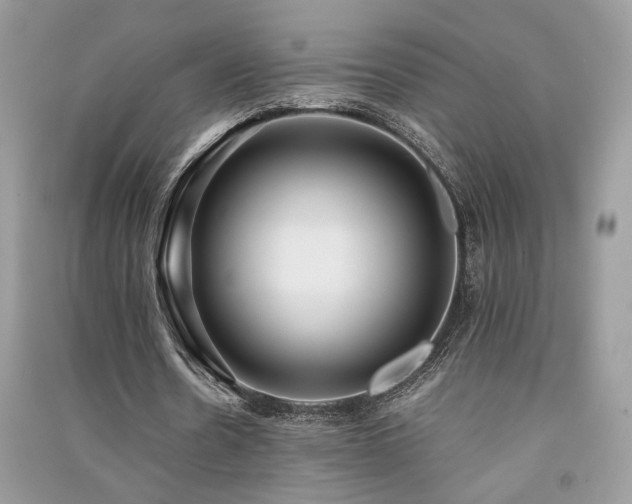 X0000091300530200708101310