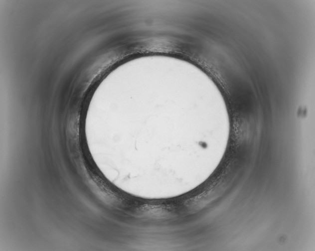 X0000091300534200708101310