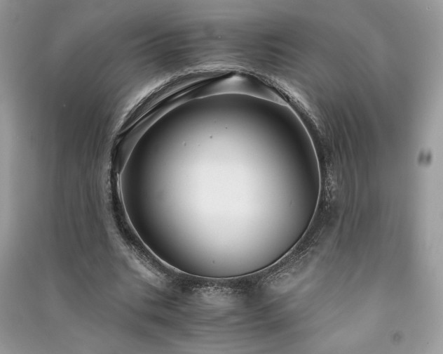 X0000091300535200708101310