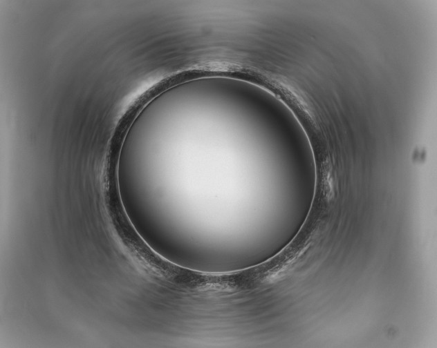 X0000091300536200708101310