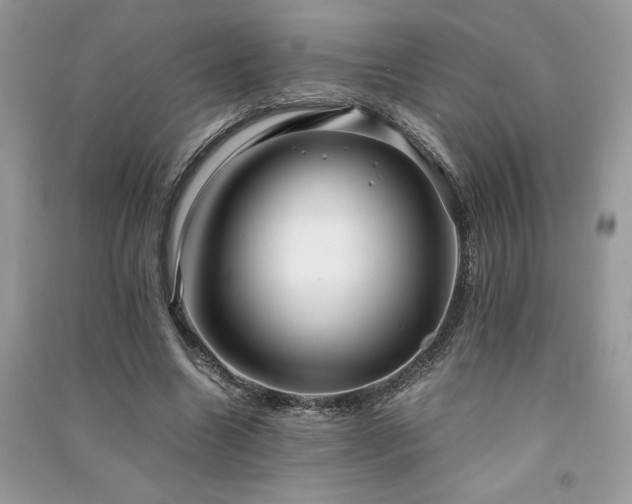 X0000091300538200708101310
