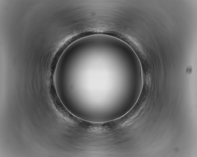 X0000091300540200708101310