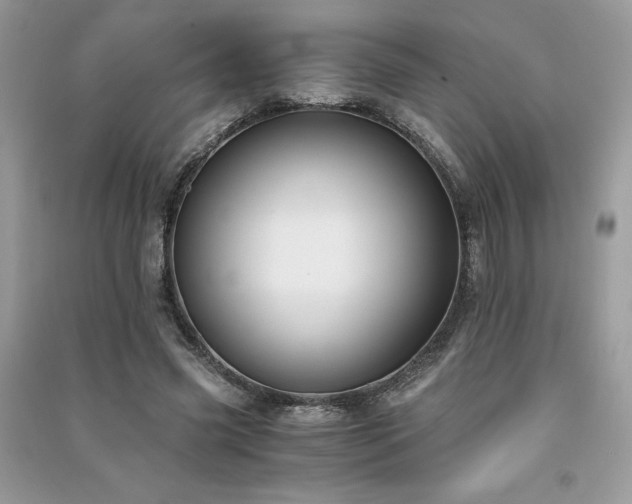 X0000091300541200708101310