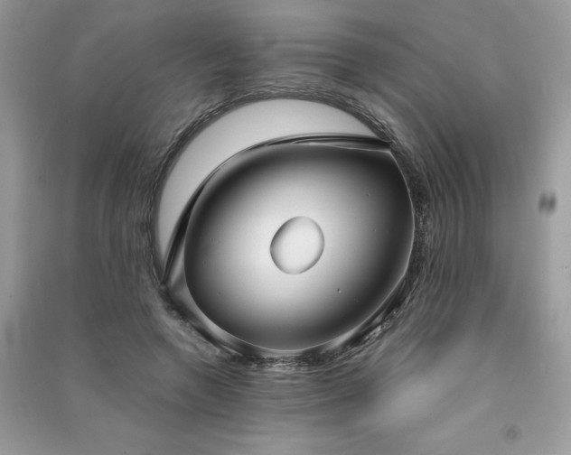 X0000091300546200708101310