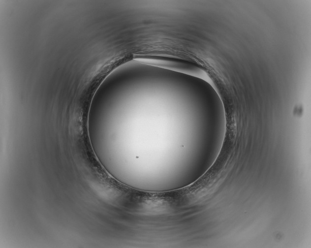 X0000091300547200708101310