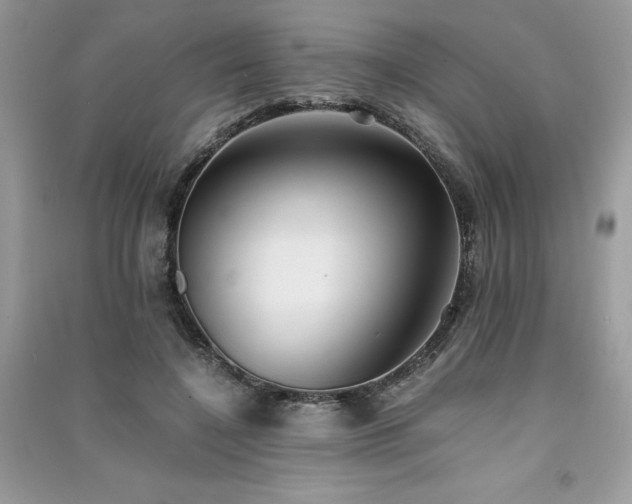 X0000091300548200708101310