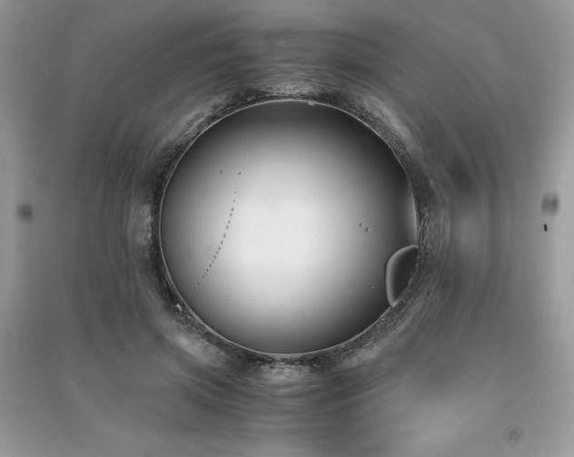 X0000091300549200708101310