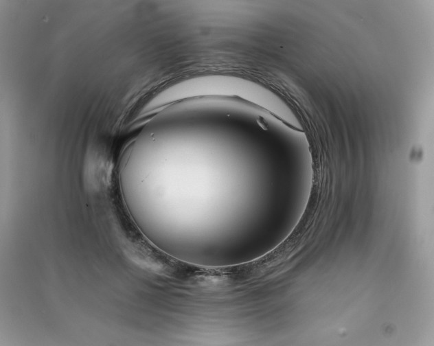 X0000091300552200708101310