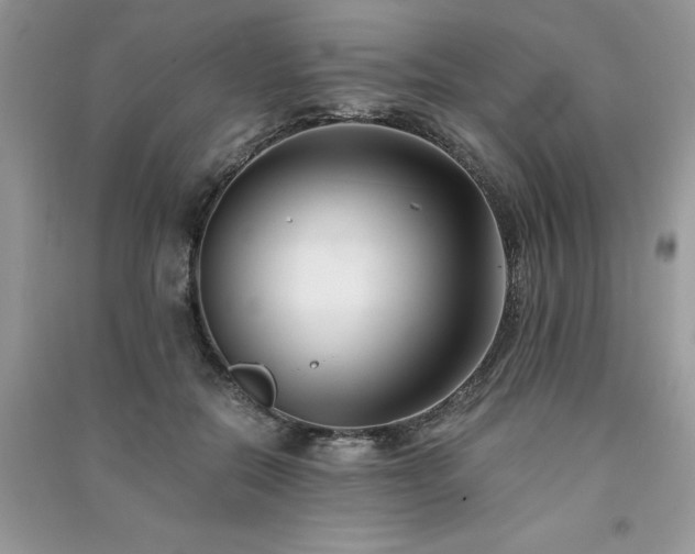 X0000091300554200708101310