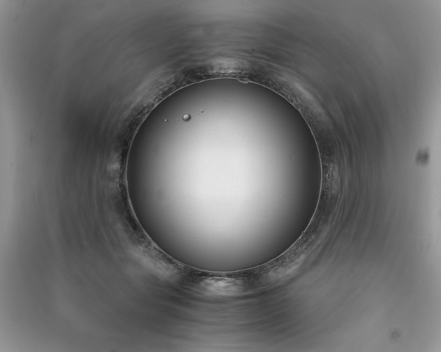 X0000091300557200708101310