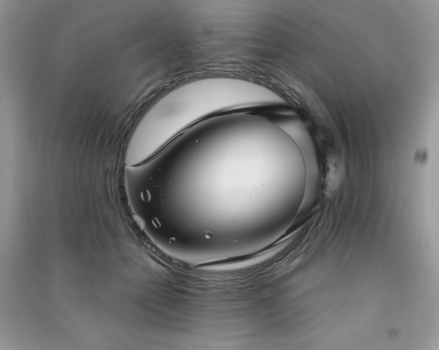X0000091300558200708101310