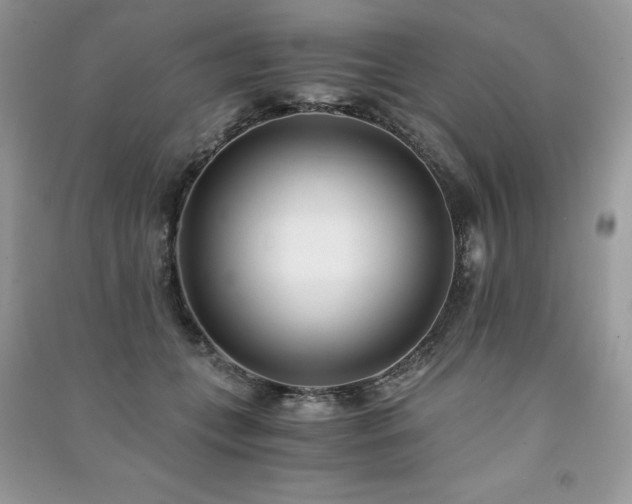 X0000091300559200708101310