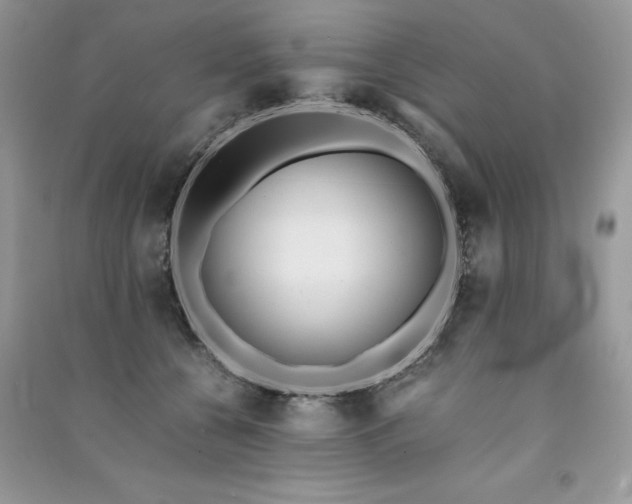 X0000091300560200708101310