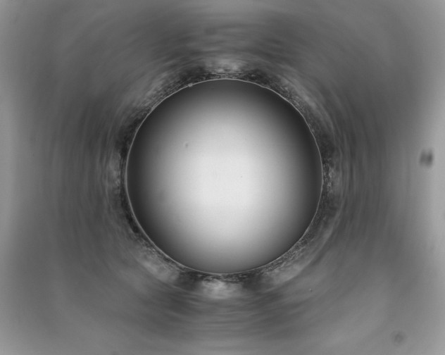X0000091300561200708101310