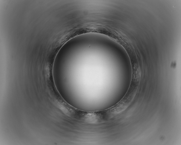 X0000091300562200708101310