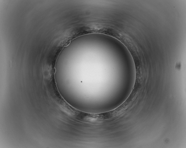 X0000091300563200708101310
