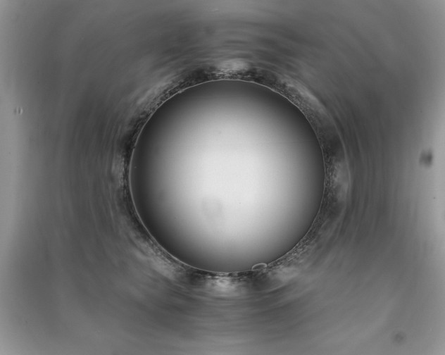 X0000091300565200708101310