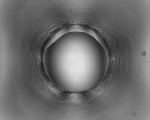 X0000091300566200708101310