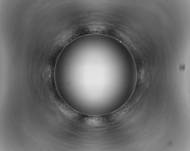 X0000091300567200708101310