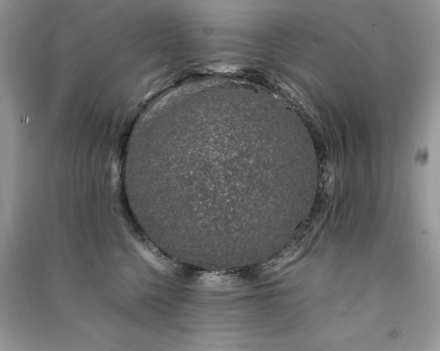 X0000091300568200708101310