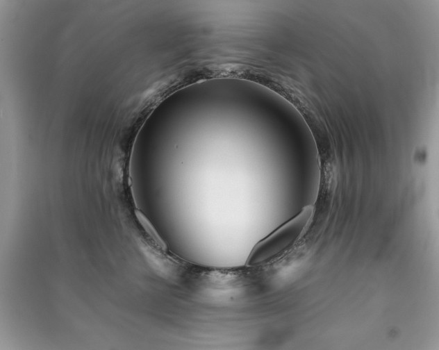 X0000091300570200708101311