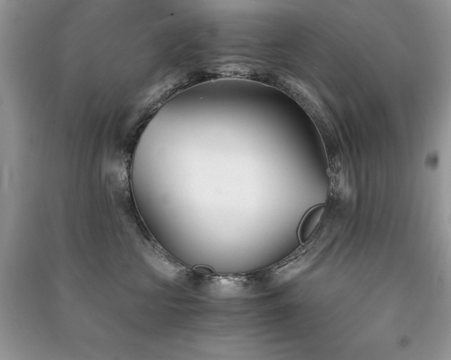 X0000091300573200708101311