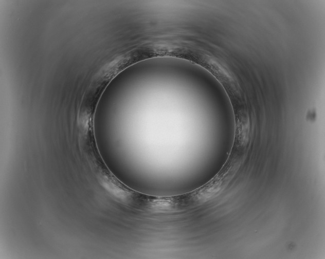 X0000091300574200708101311