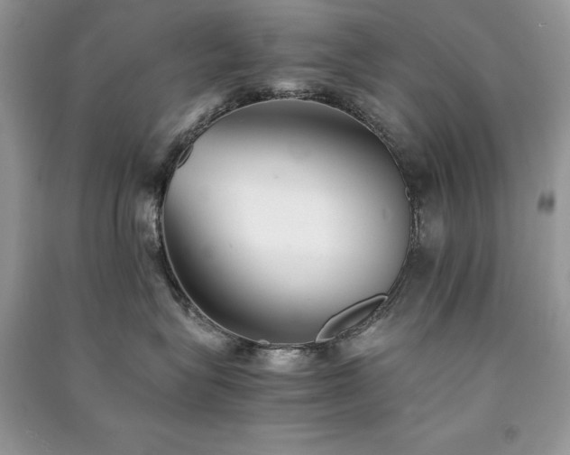 X0000091300575200708101311