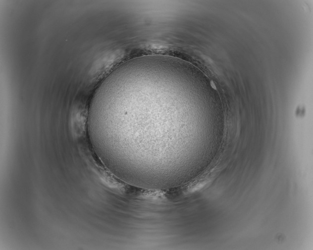 X0000091300576200708101311